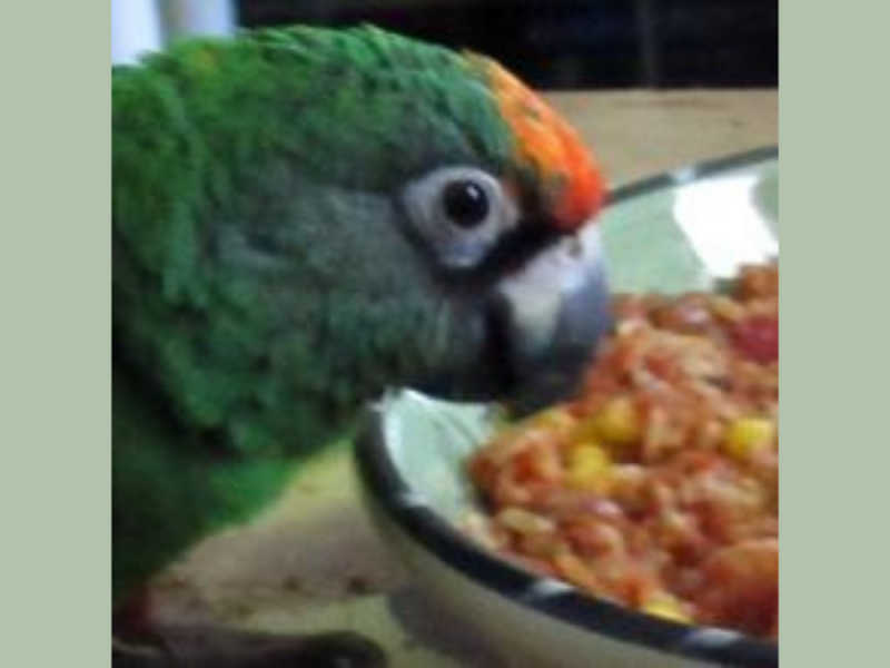 Book Review: Alex &&nbsp;Me