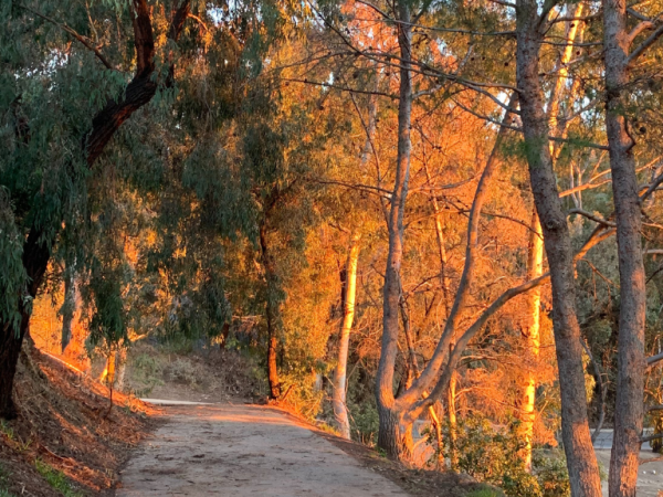 Creative Motivation – Accountability and Following Through With Your&nbsp;Ideas