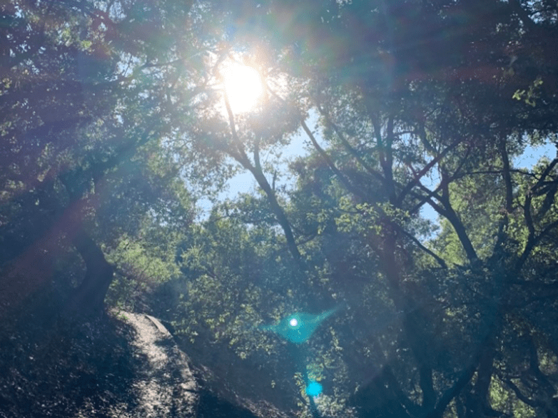 New Year’s Resolutions: Momentum and&nbsp;Balance